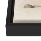Seagull Framed Canvas Print Gallery Image 3