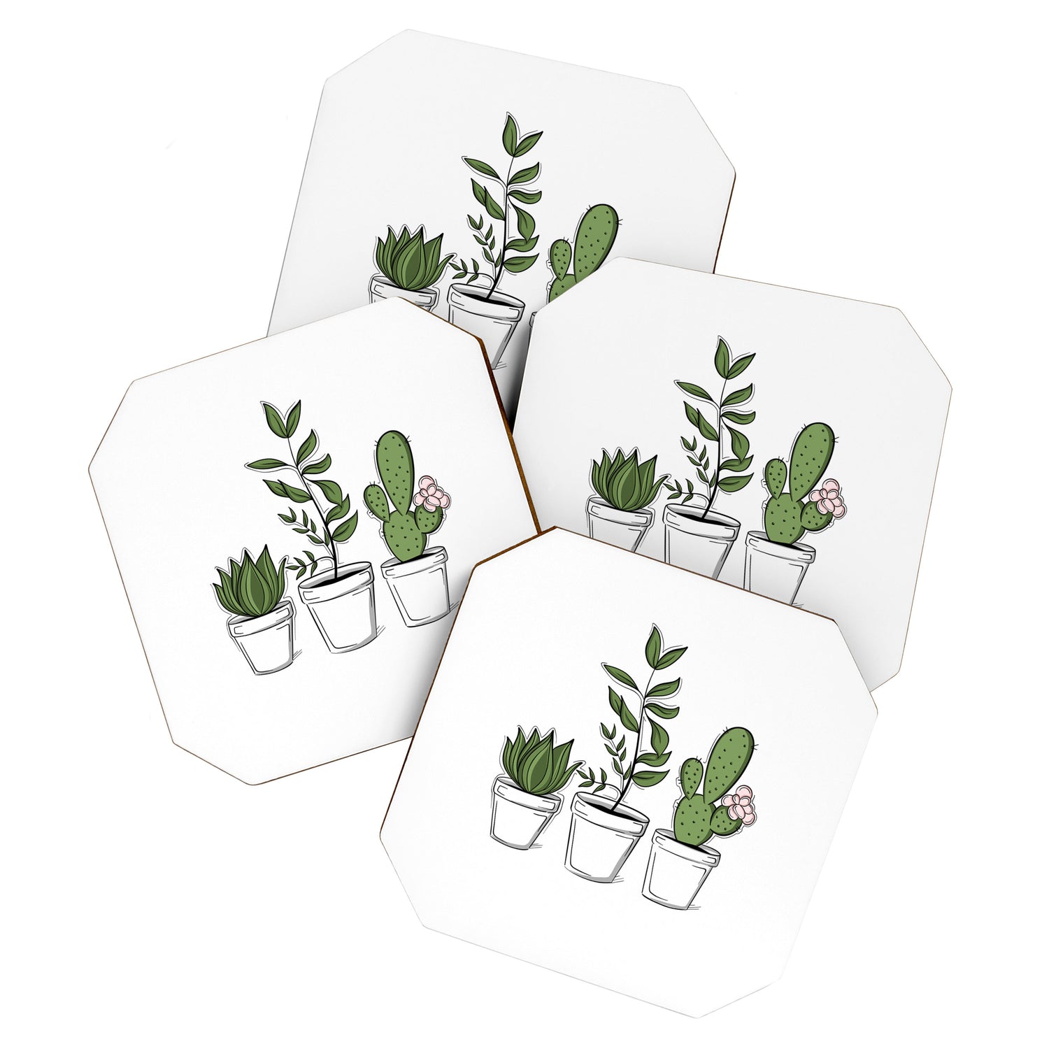 Three Little Succulents Coaster Gallery Image 1