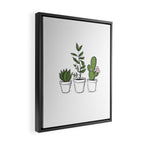 Three Little Succulents Framed Canvas Print Gallery Image 2