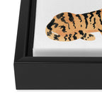 Tigers Framed Canvas Print Gallery Image 3