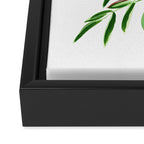 Toucan Framed Canvas Print Gallery Image 3