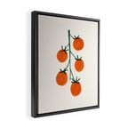 Vine Tomatoes Framed Canvas Print Gallery Image 2
