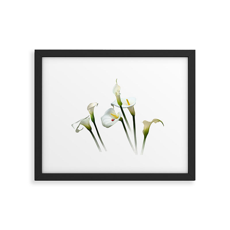 Calla Lilies Framed Art Print Gallery Image 5
