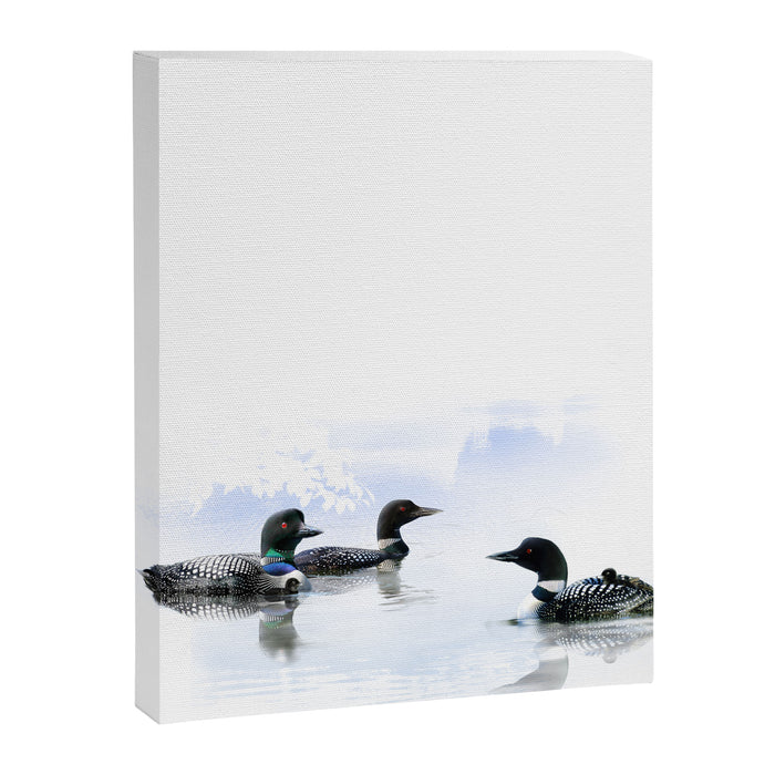 Loons Canvas Print Gallery Image 1