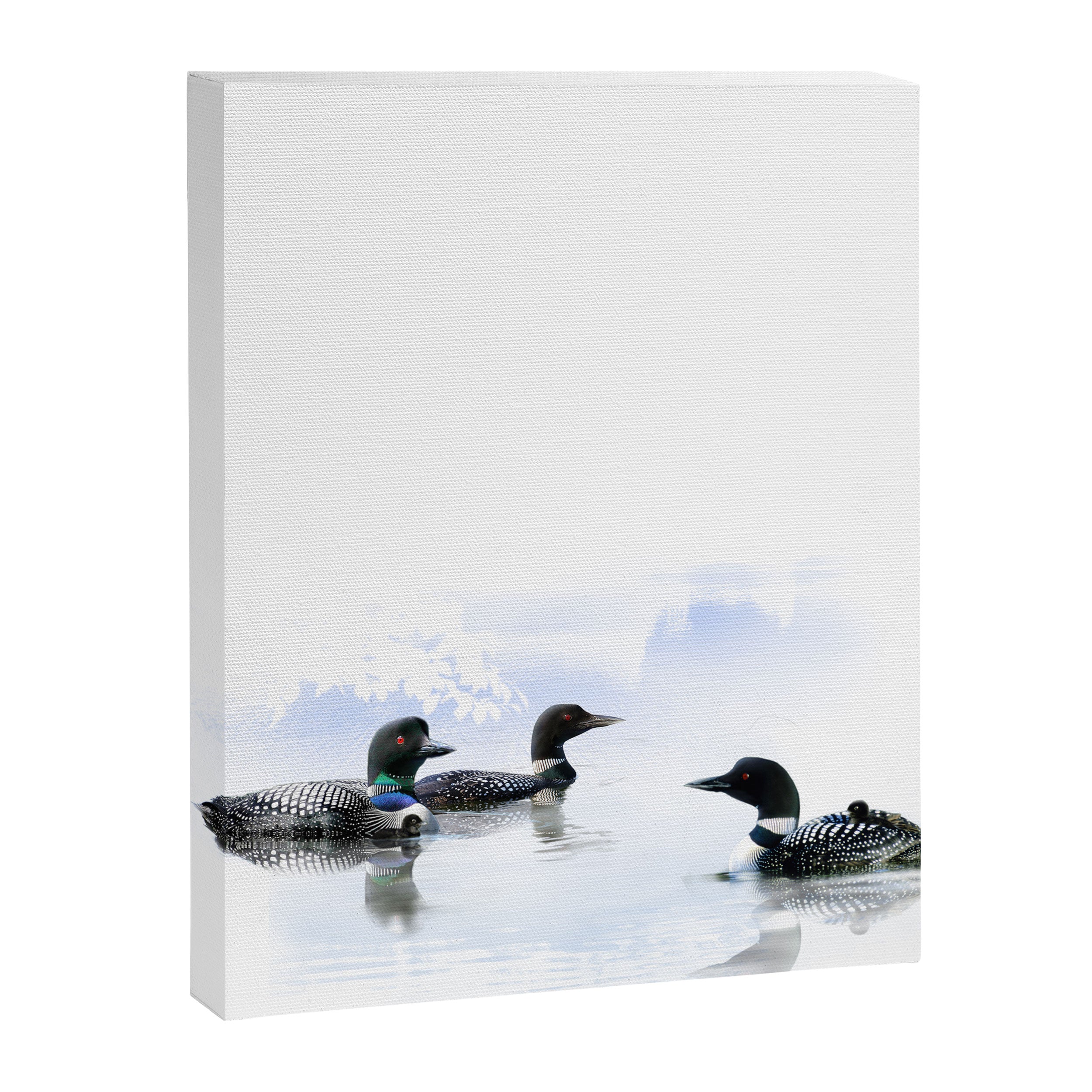 Loons Canvas Print Gallery Image 6