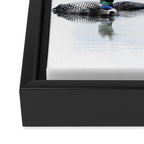 Loons Framed Canvas Print Gallery Image 3