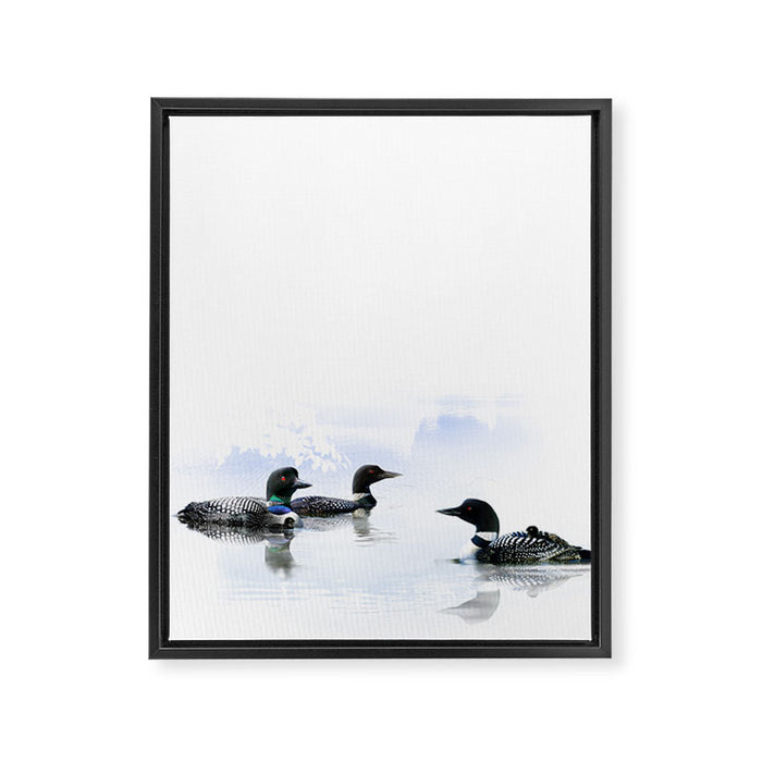 Loons Framed Canvas Print Gallery Image 1