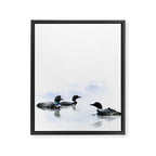 Loons Framed Canvas Print Gallery Image 6