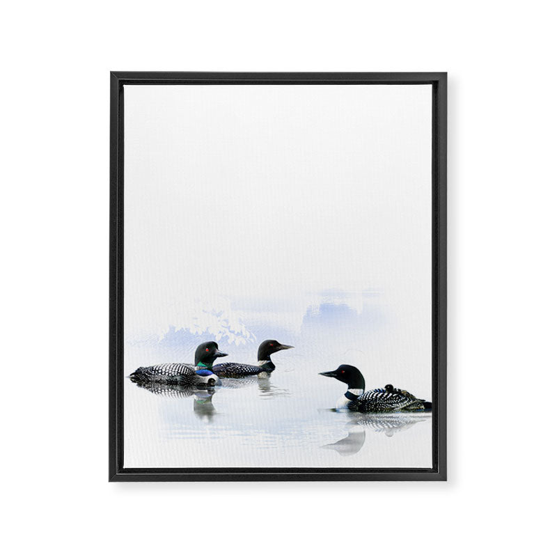 Loons Framed Canvas Print Gallery Image 6
