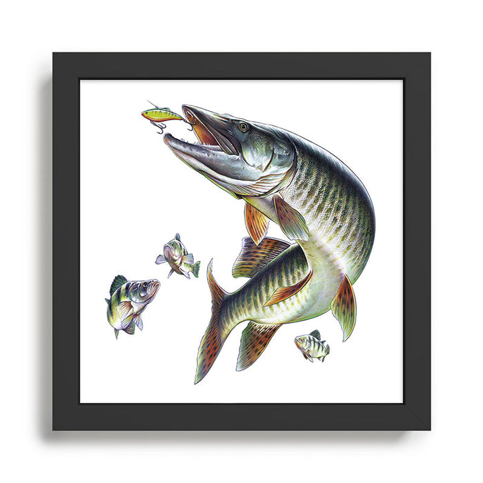 Musky Fishing Framed Art Print Gallery Image 1