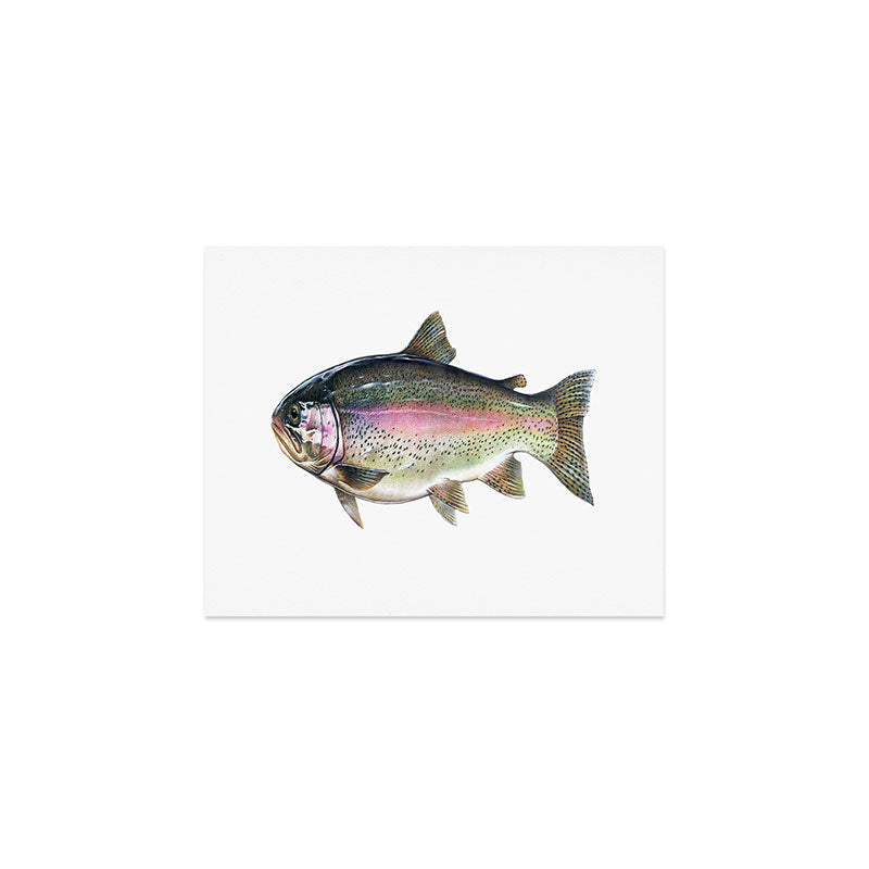 Rainbow Trout Art Print Gallery Image 1