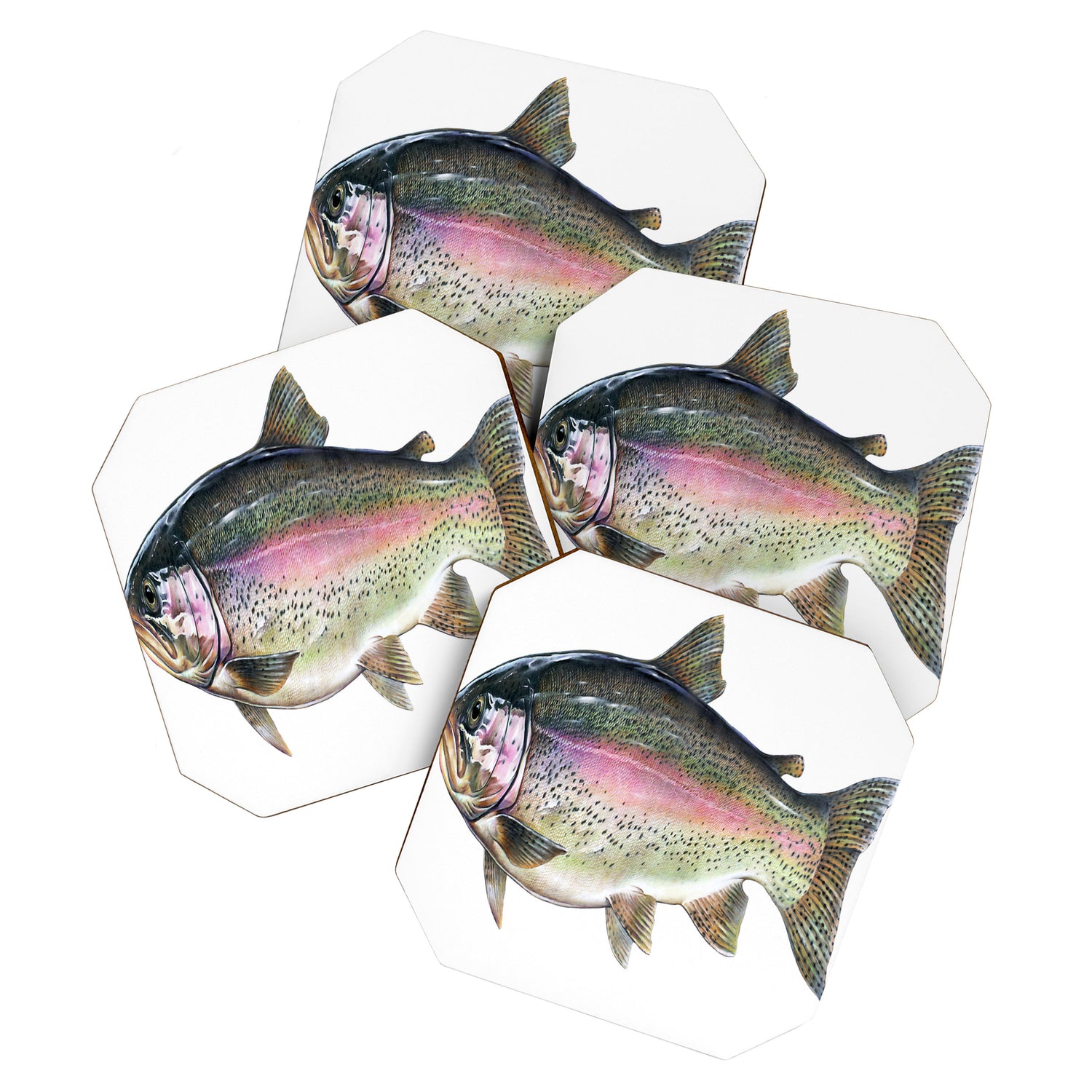 Rainbow Trout Coaster Gallery Image 1