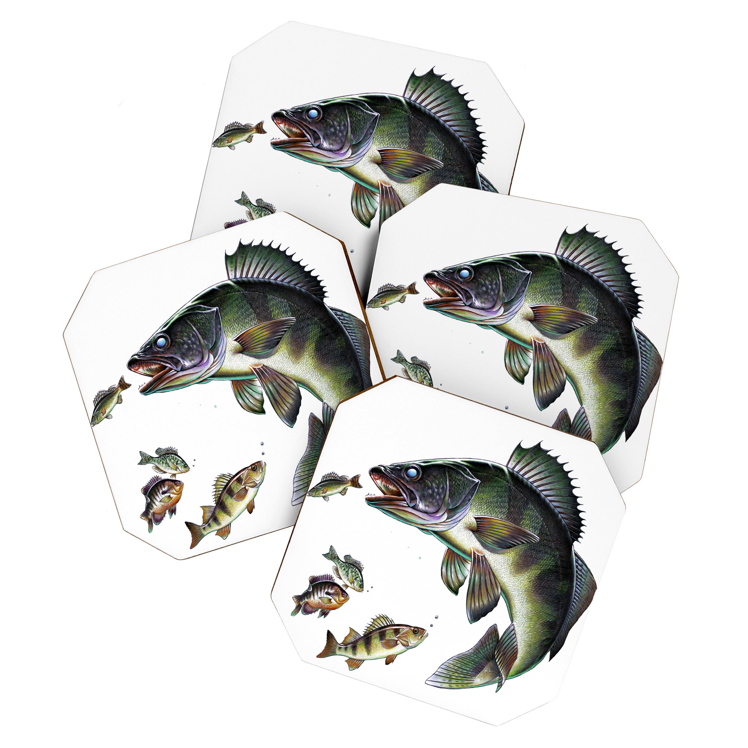 Walleye Coaster Gallery Image 1