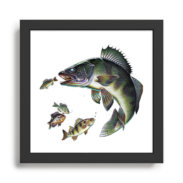 Walleye Framed Art Print Gallery Image 1