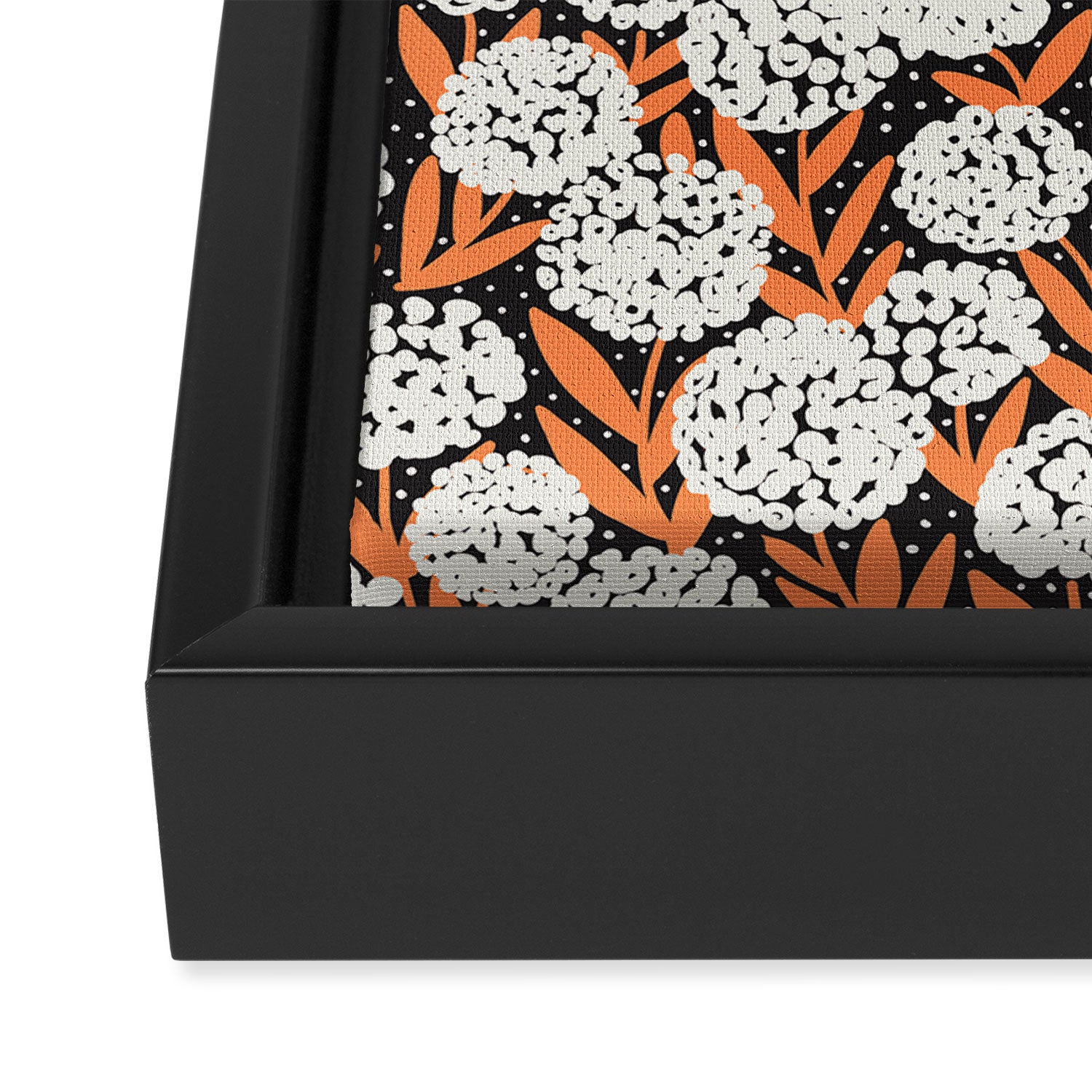 Blooming Abstract White and Orange Allium Flowers on Black Framed Canvas Print Gallery Image 3