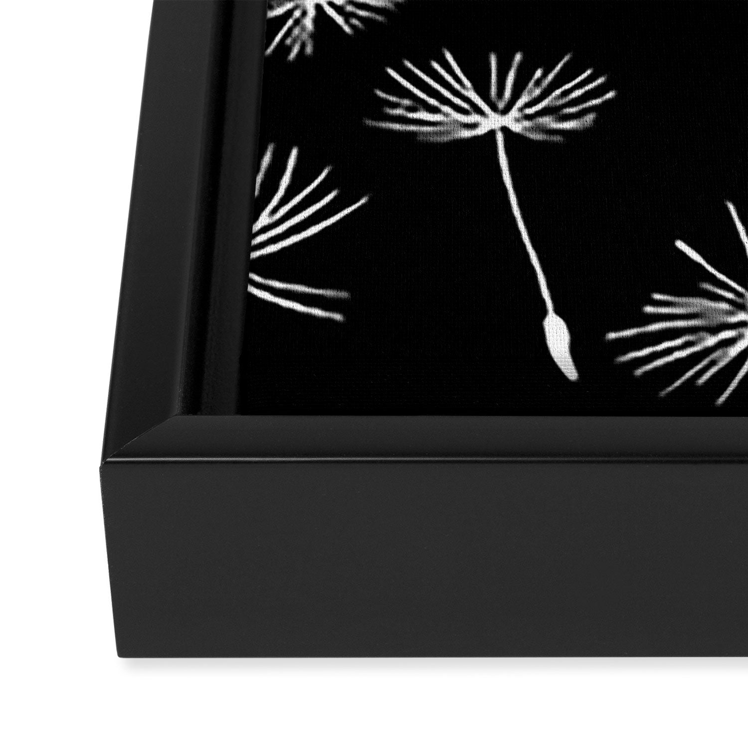 Flying Dandelions Black White Framed Canvas Print Gallery Image 3