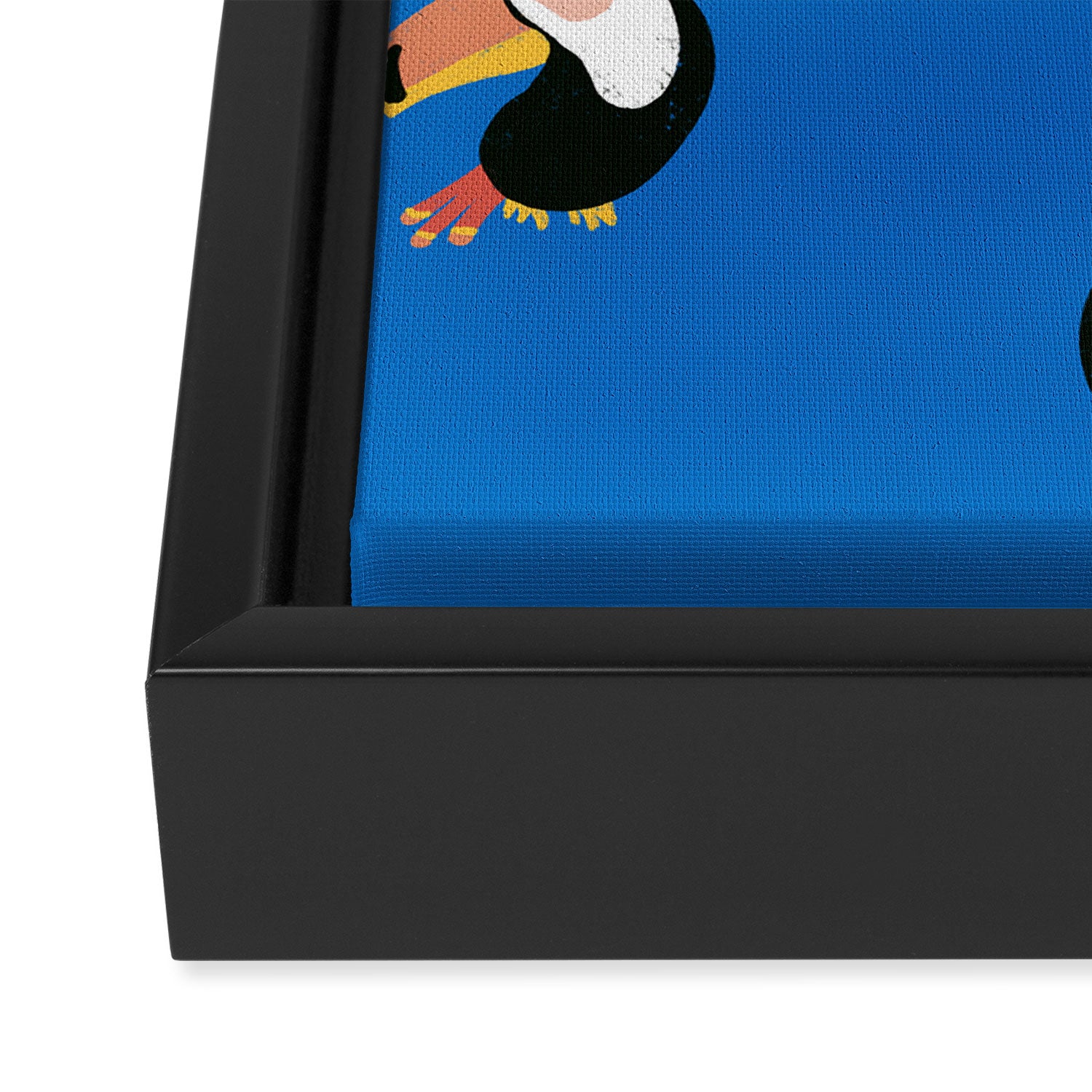 Toucans Blue Framed Canvas Print Gallery Image 3