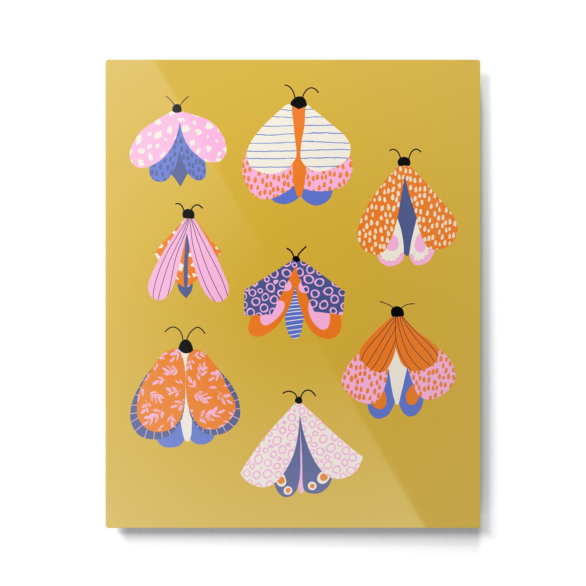 Vintage Moths Metal Print Gallery Image 4