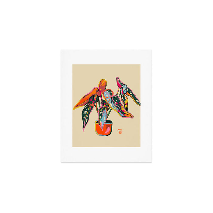 COLOURFUL BEGONIA PLANT  Art Print Gallery Image 1