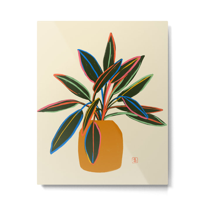 PLANT WITH COLOURFUL LEAVES  Metal Print Gallery Image 1