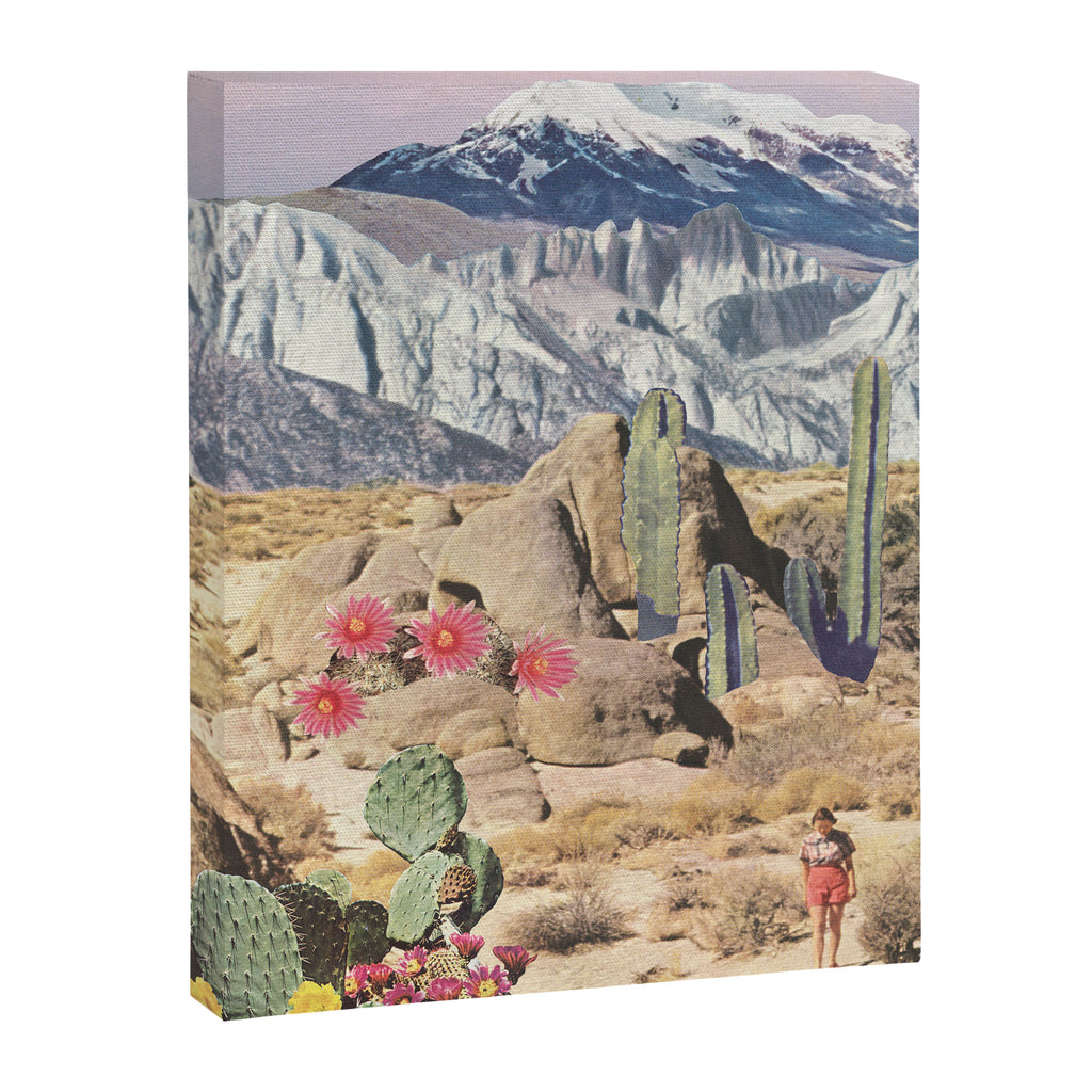 California Cacti Canvas Print Gallery Image 6