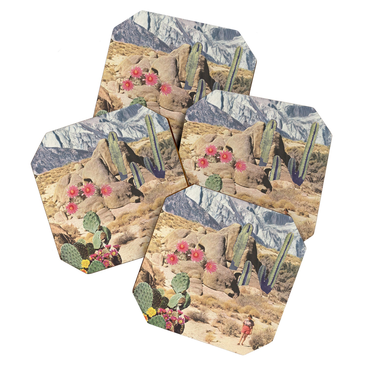 California Cacti Coaster Gallery Image 1