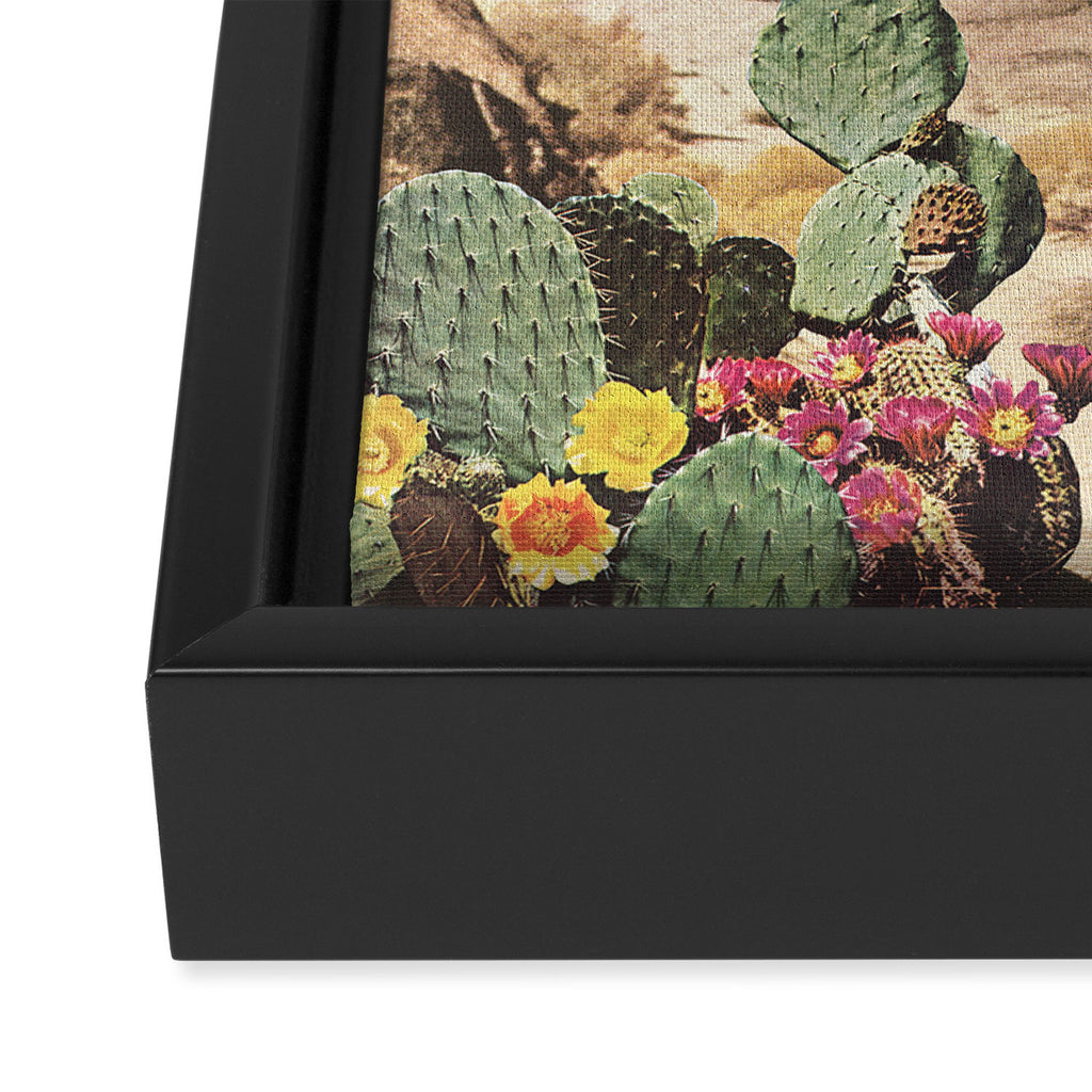 California Cacti Framed Canvas Print Gallery Image 3