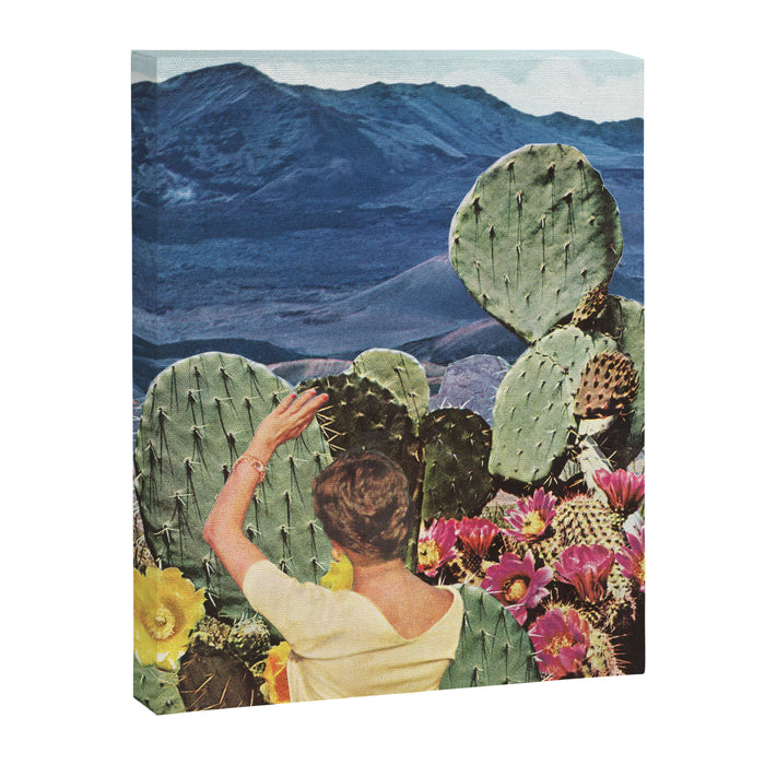 Curious Canvas Print Gallery Image 1