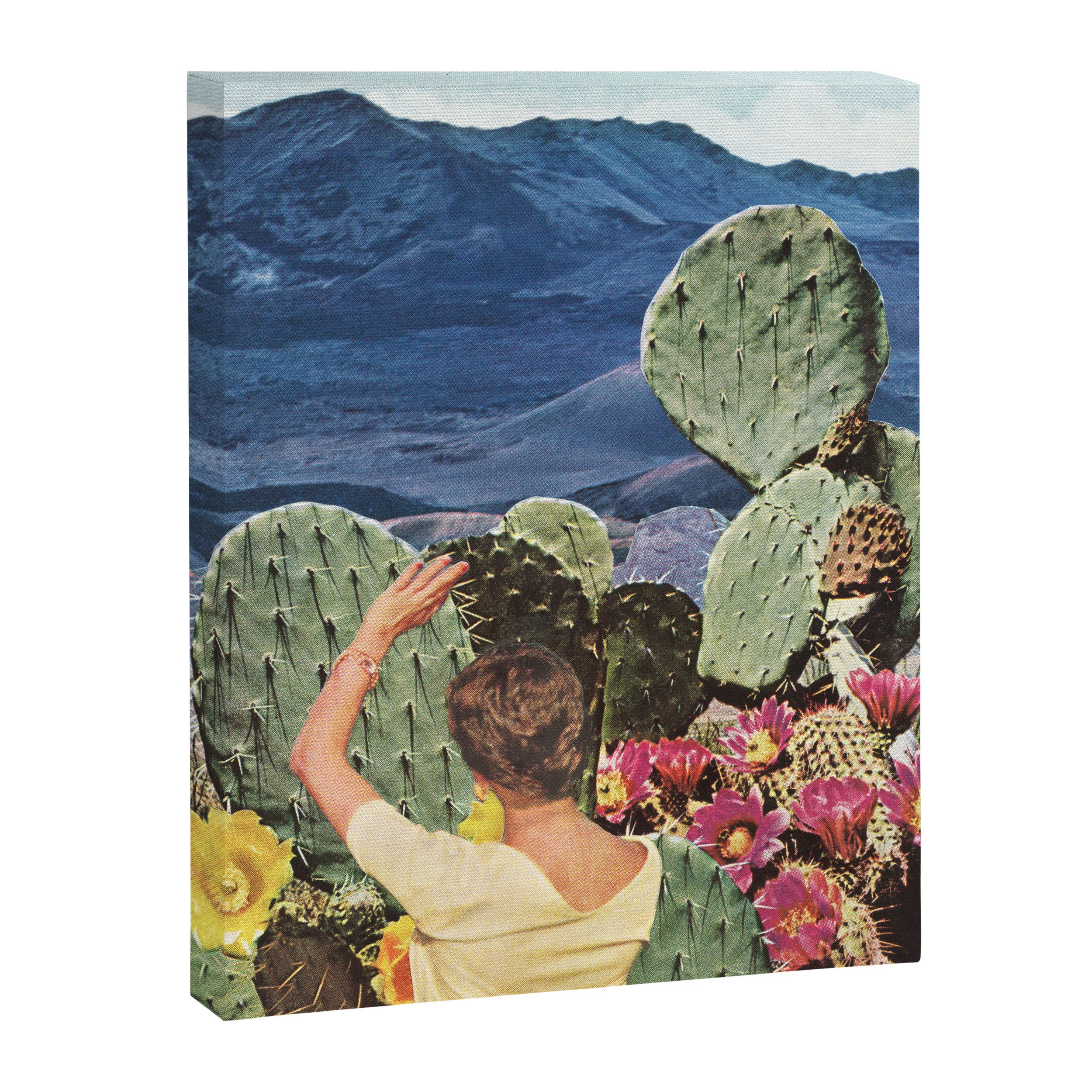 Curious Canvas Print Gallery Image 8