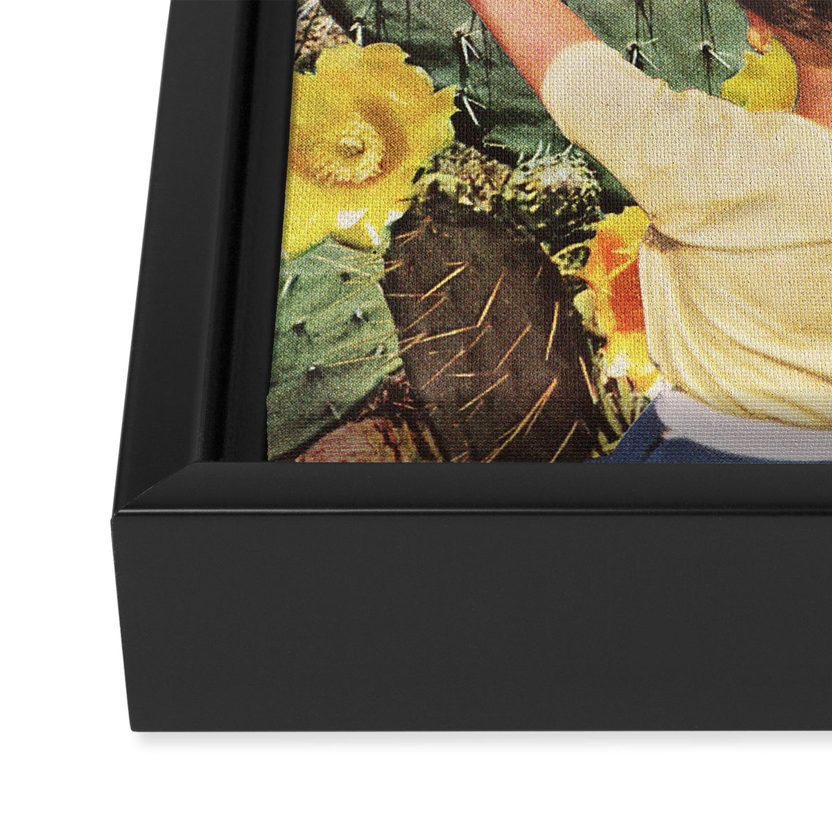 Curious Framed Canvas Print Gallery Image 3