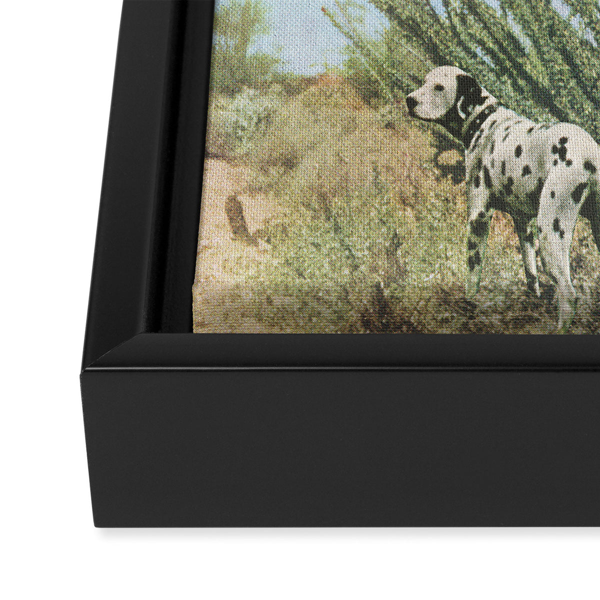 Desert Dots Framed Canvas Print Gallery Image 3
