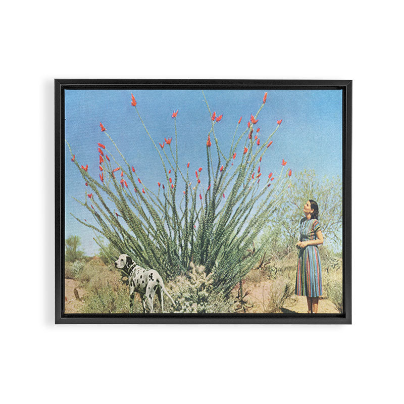 Desert Dots Framed Canvas Print Gallery Image 6