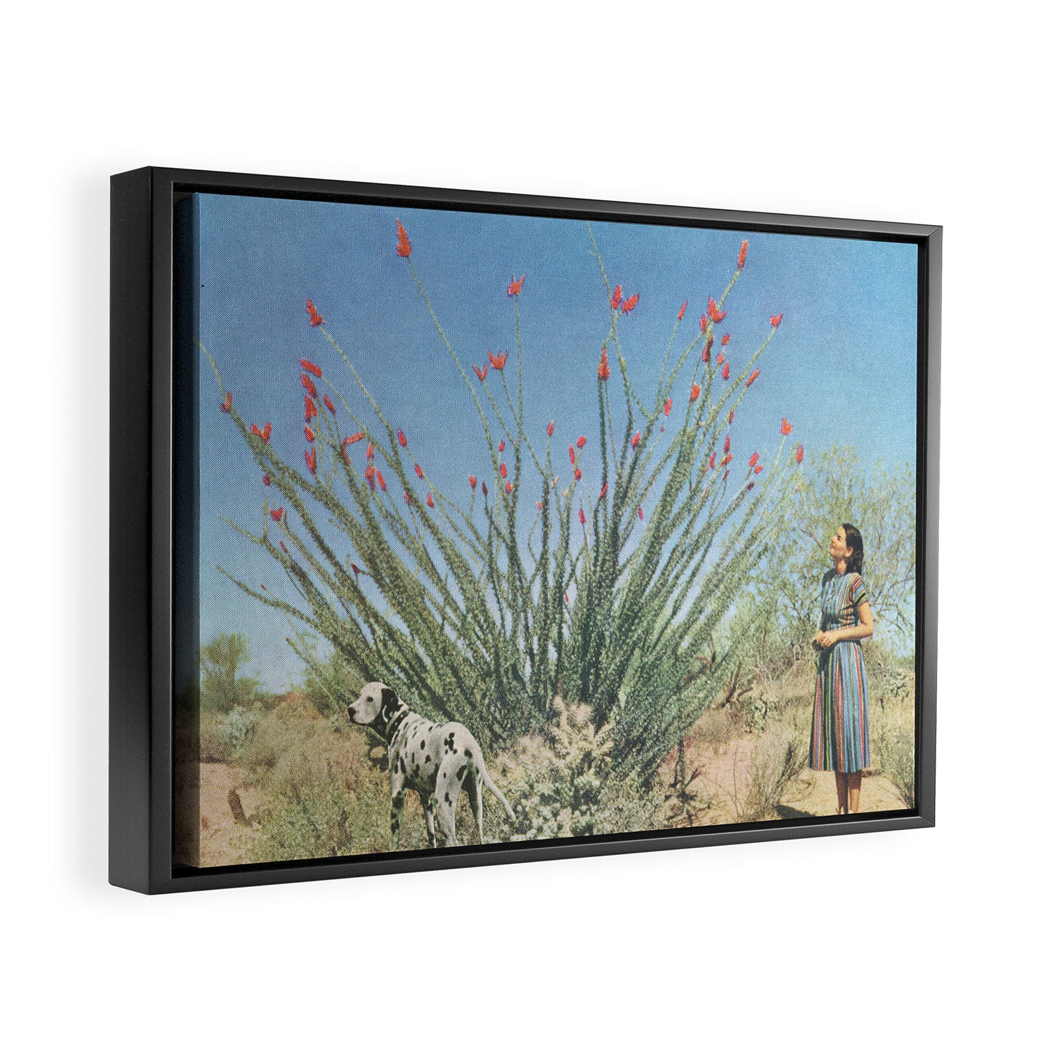 Desert Dots Framed Canvas Print Gallery Image 2