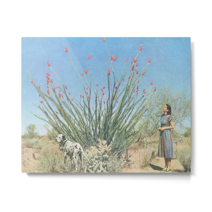 Desert Dots Metal Print Gallery Image 1