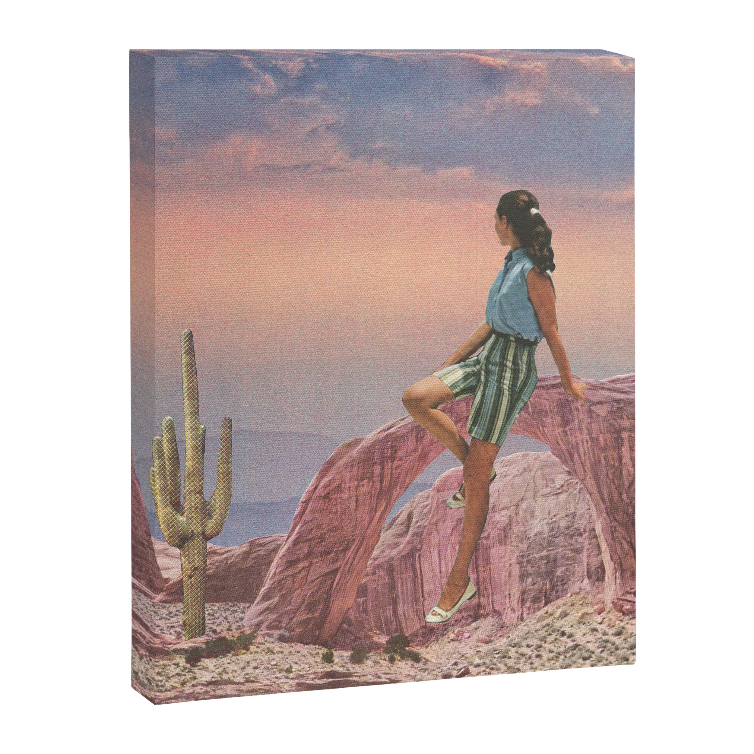 Desert Glow Canvas Print Gallery Image 6
