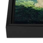 Dimensions Framed Canvas Print Gallery Image 3