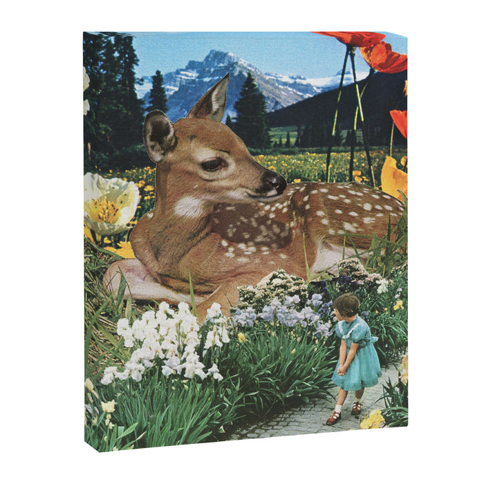 Discovery Canvas Print Gallery Image 1