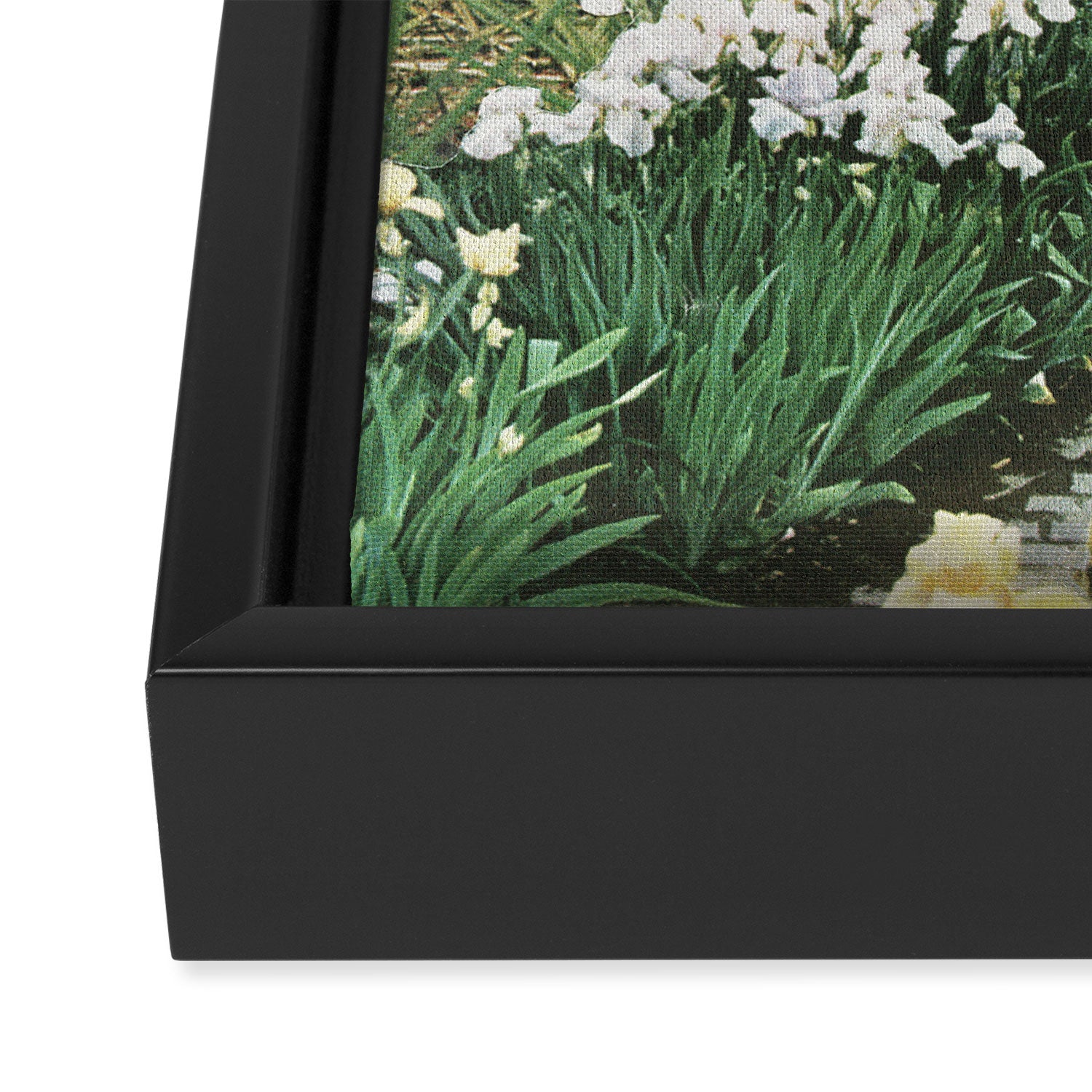 Discovery Framed Canvas Print Gallery Image 3