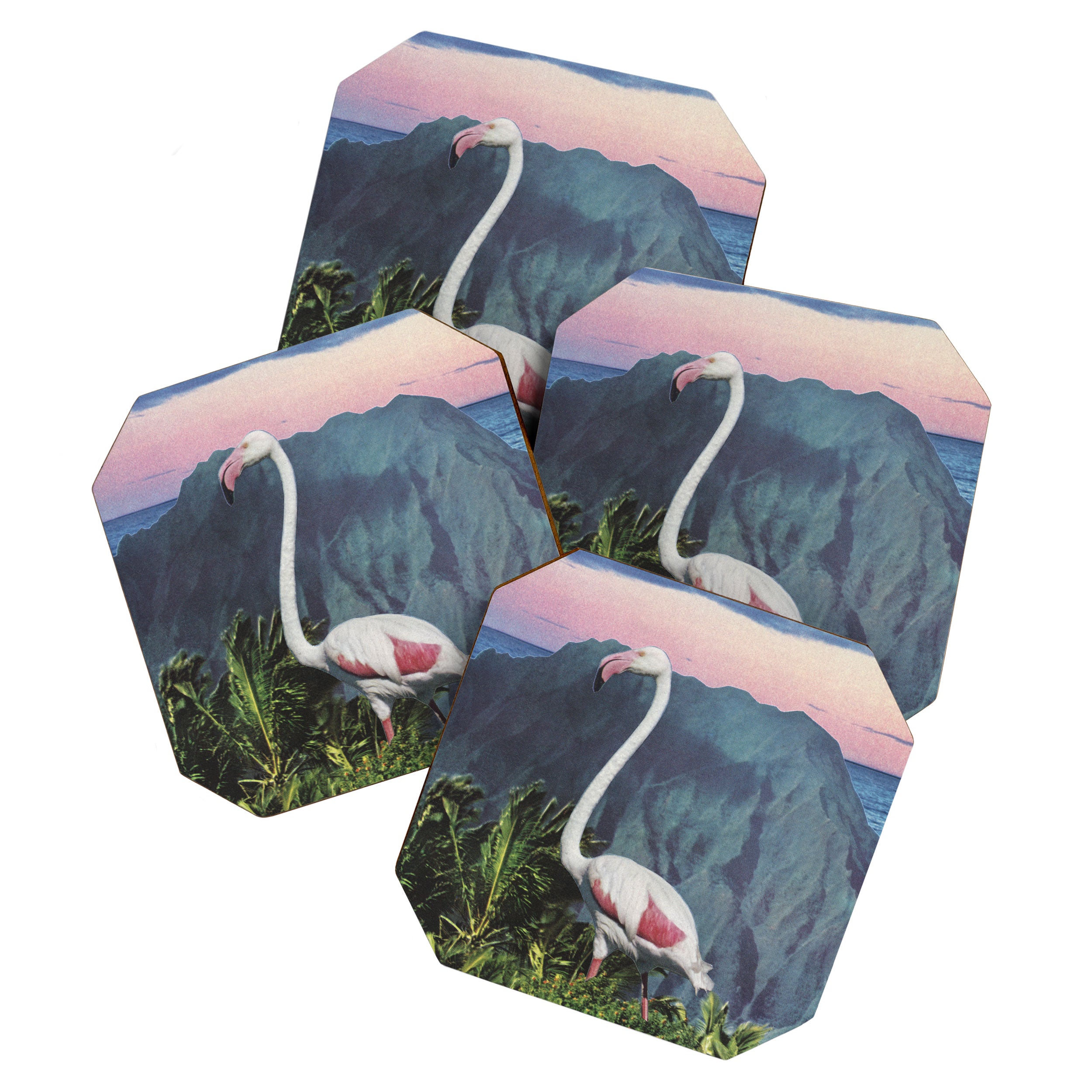 Flamingo Coaster Gallery Image 1