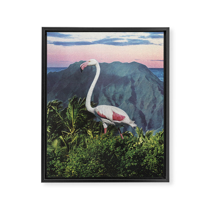 Flamingo Framed Canvas Print Gallery Image 1