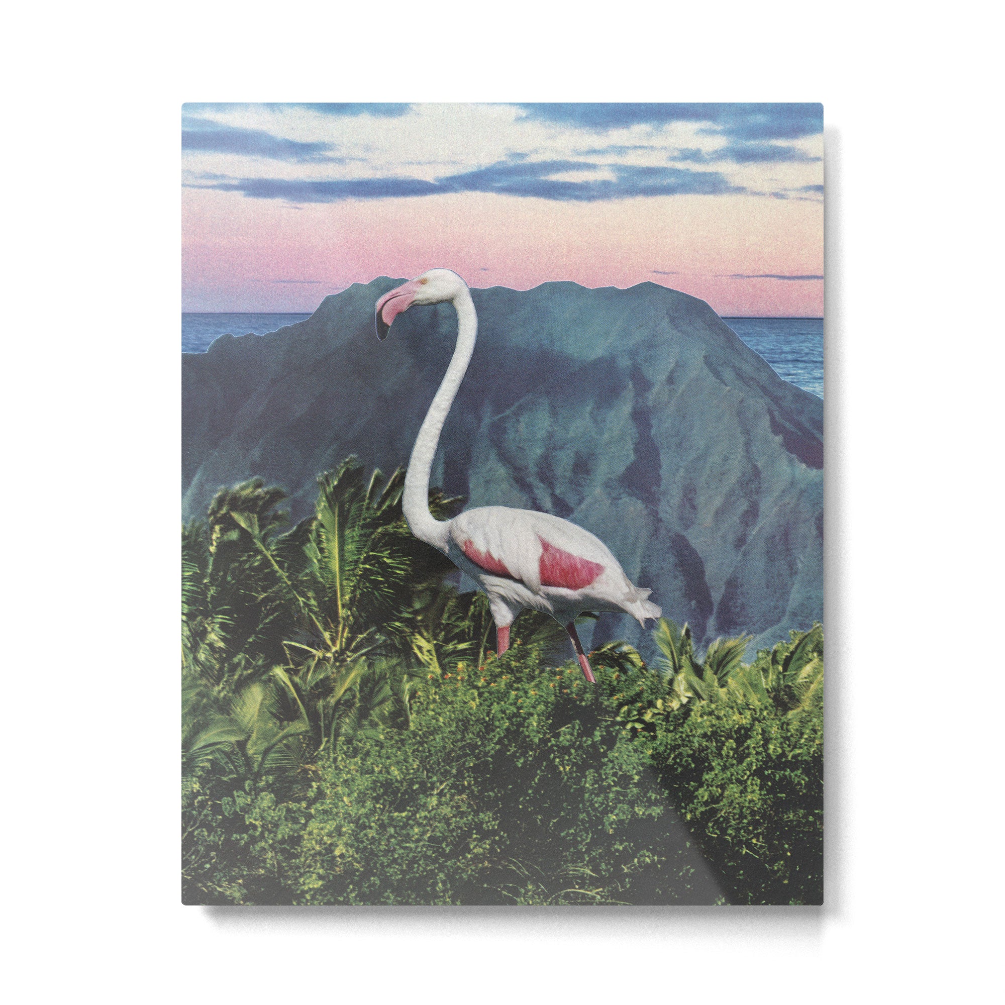 Flamingo Metal Print Gallery Image 6