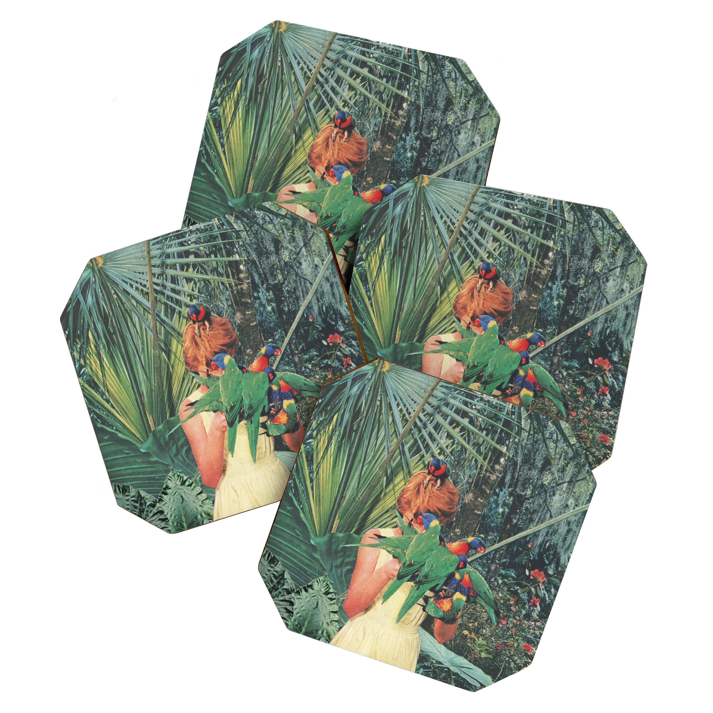 Hiding Coaster Gallery Image 1