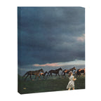 Into the Sunset Canvas Print Gallery Image 8