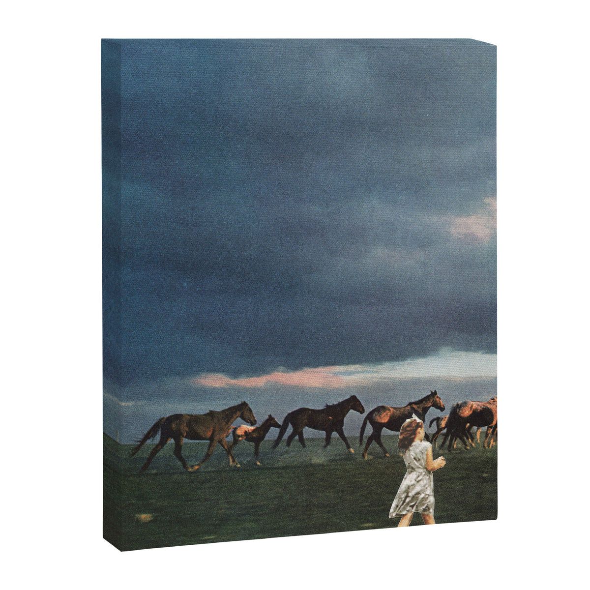 Into the Sunset Canvas Print Gallery Image 8
