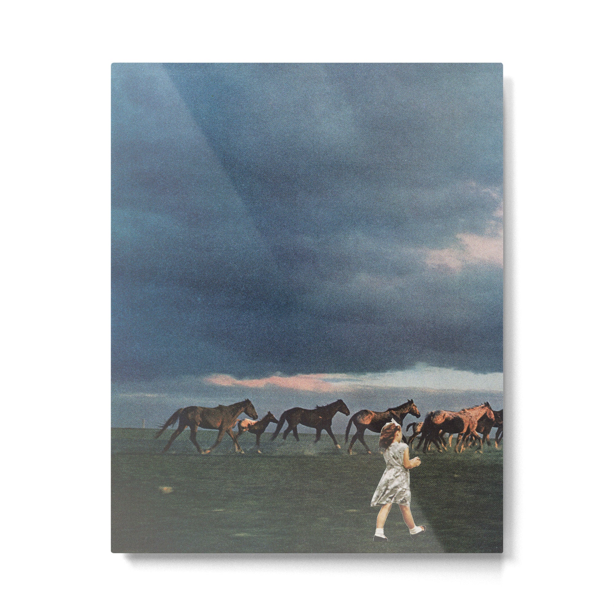 Into the Sunset Metal Print Gallery Image 6