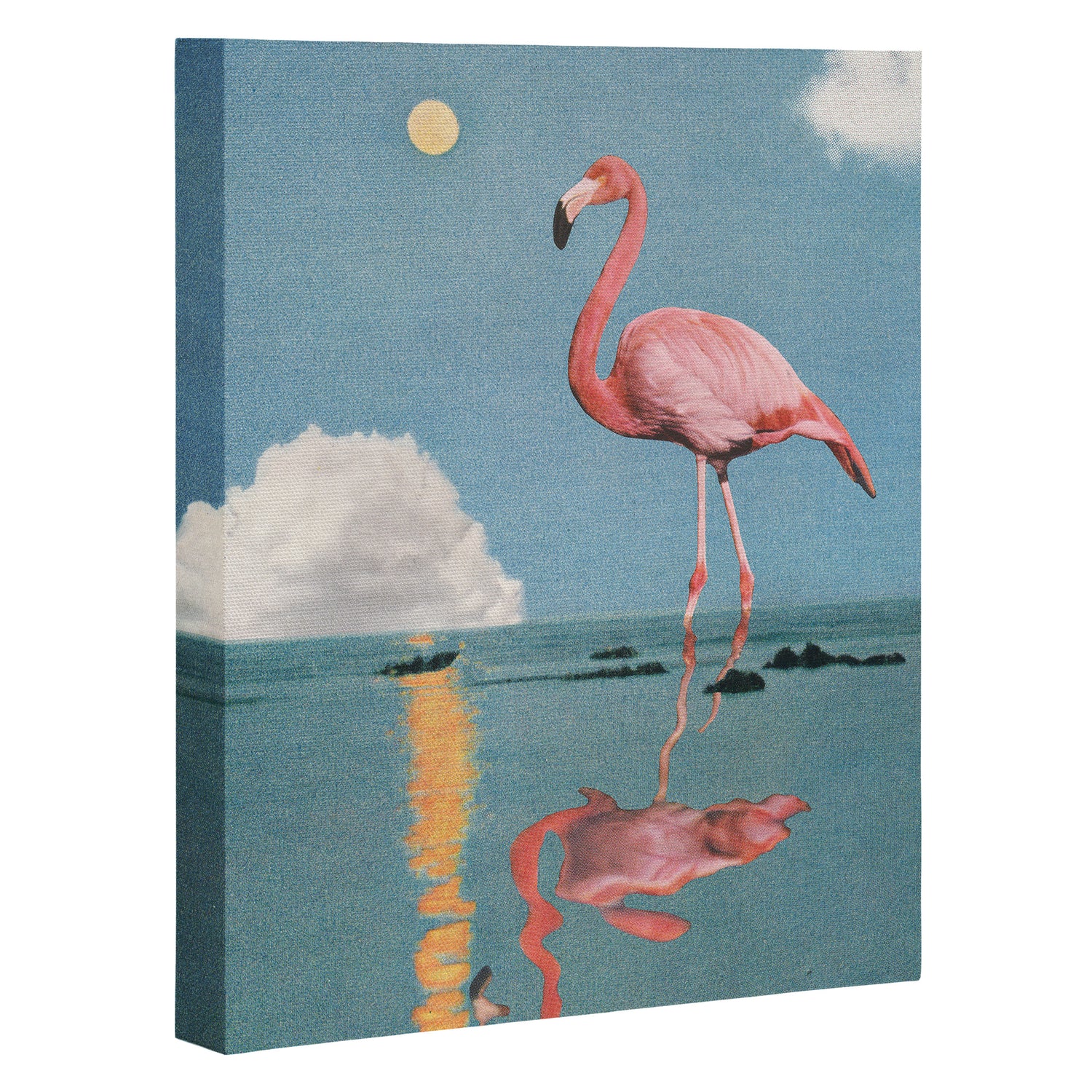 Is it Day or Night?  Canvas Print Gallery Image 3