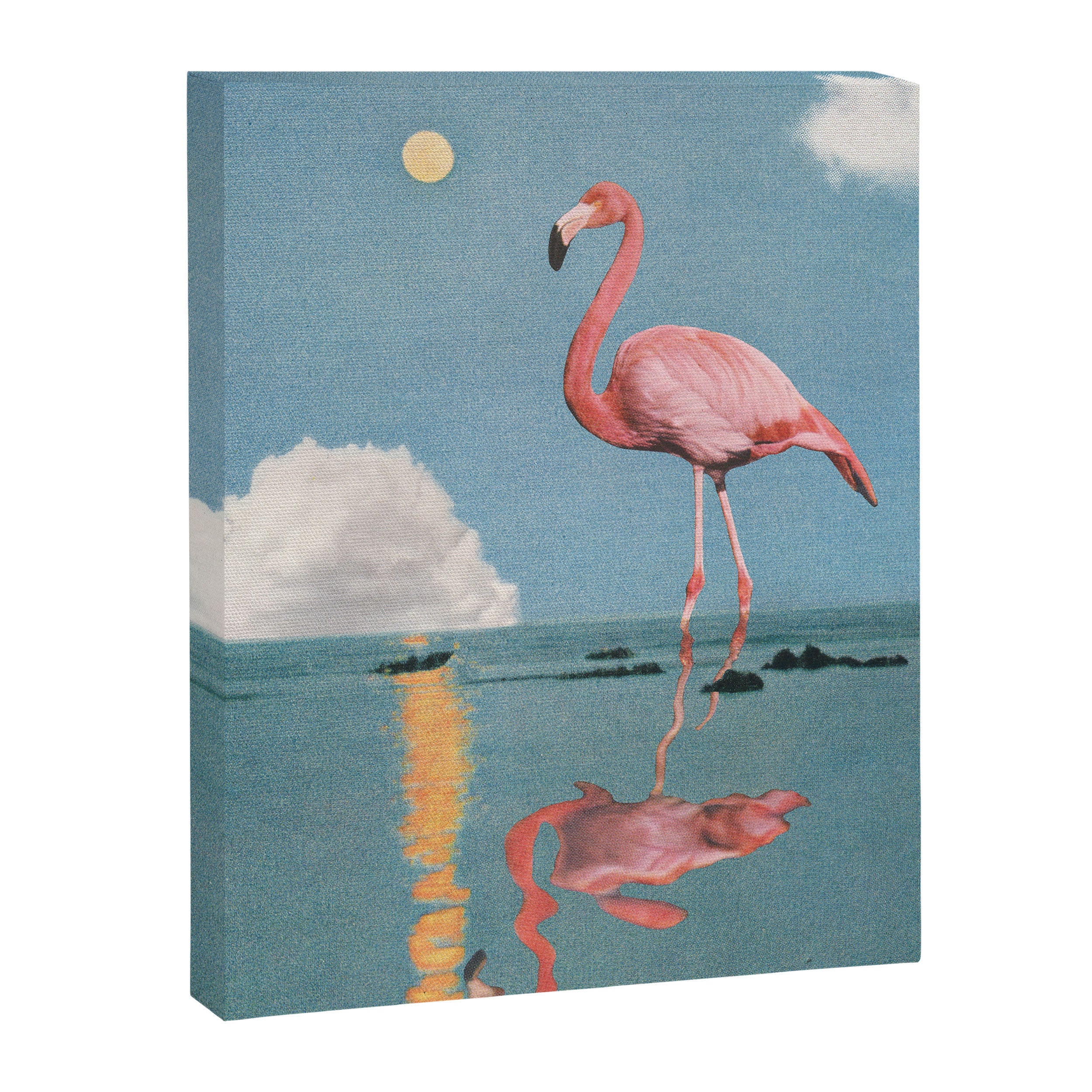 Is it Day or Night?  Canvas Print Gallery Image 6