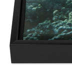 Mermaid Framed Canvas Print Gallery Image 3