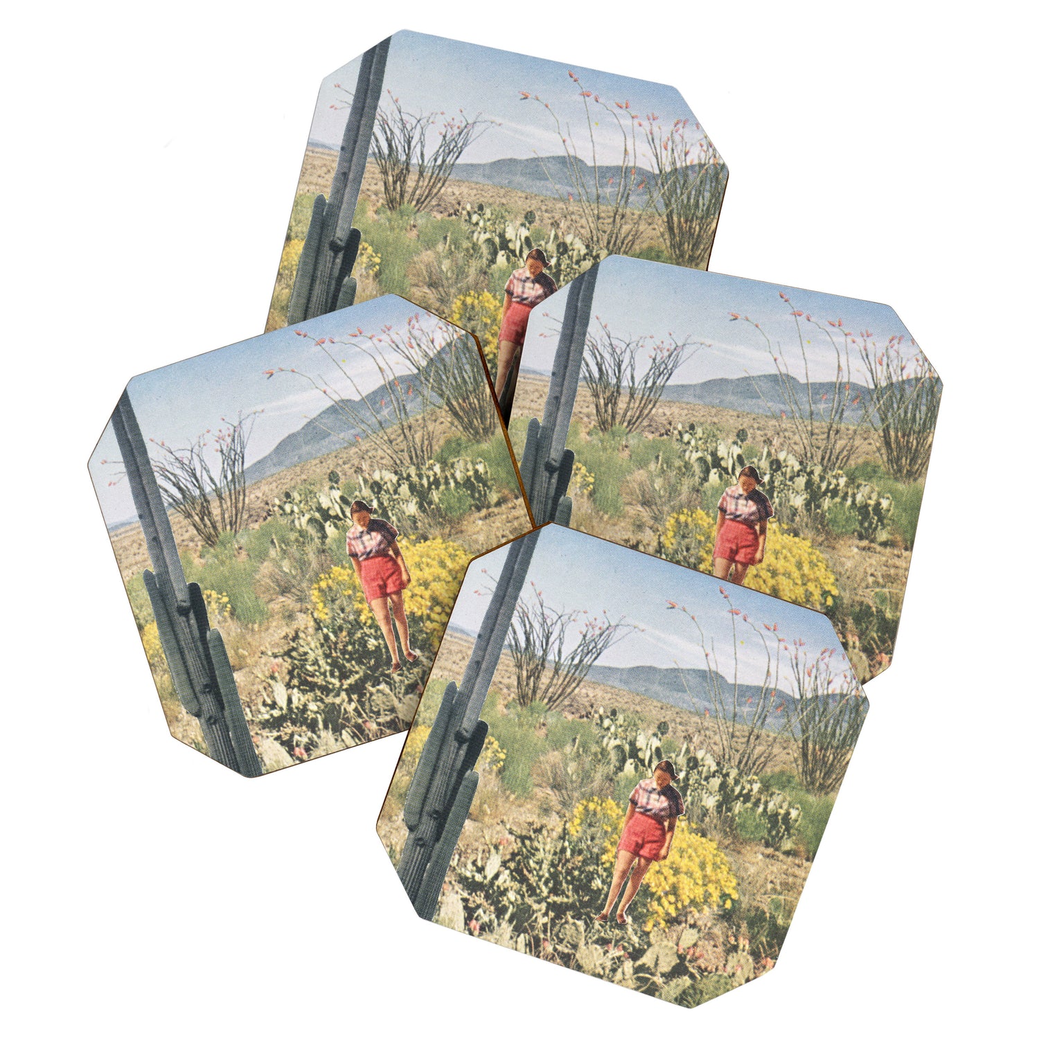 Mini Cactus Coaster Gallery Image 1