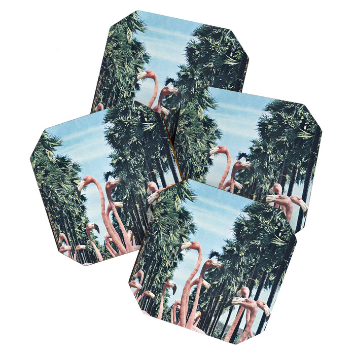 Palm Trees & Flamingos Coaster Gallery Image 1